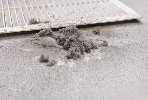 Best Air Duct Cleaning Company Near Me  in Vla Park, IL