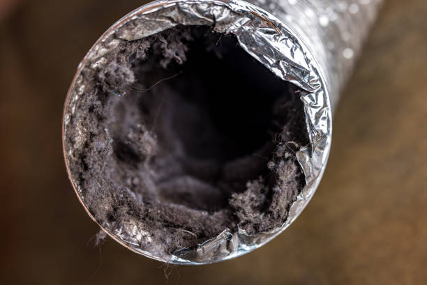 Best Duct Cleaning for Homes  in Vla Park, IL