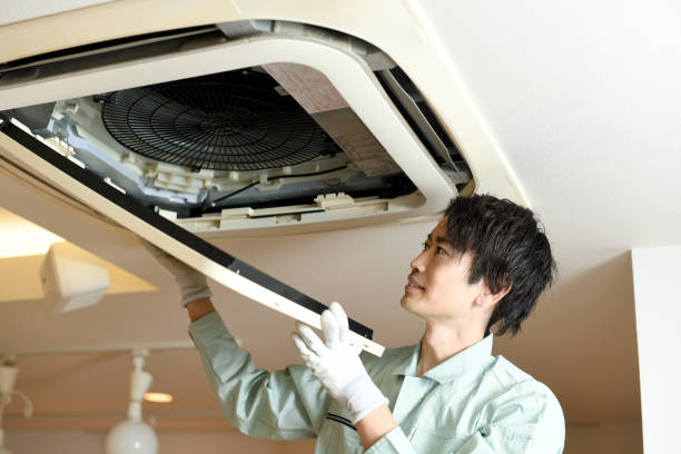 Best Dryer Vent Cleaning Services  in Vla Park, IL