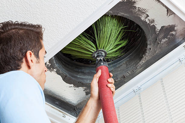 Best Air Vent Cleaning Services  in Vla Park, IL