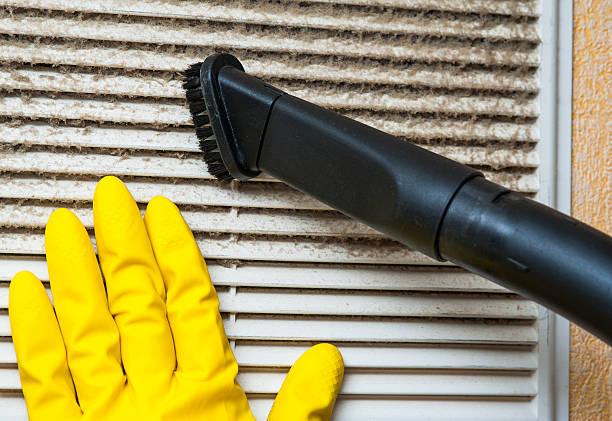 Best Affordable Duct Cleaning Services  in Vla Park, IL